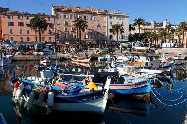 Charmant T2 Au Coeur De La Rue Fesch Ajaccio  Eksteriør billede